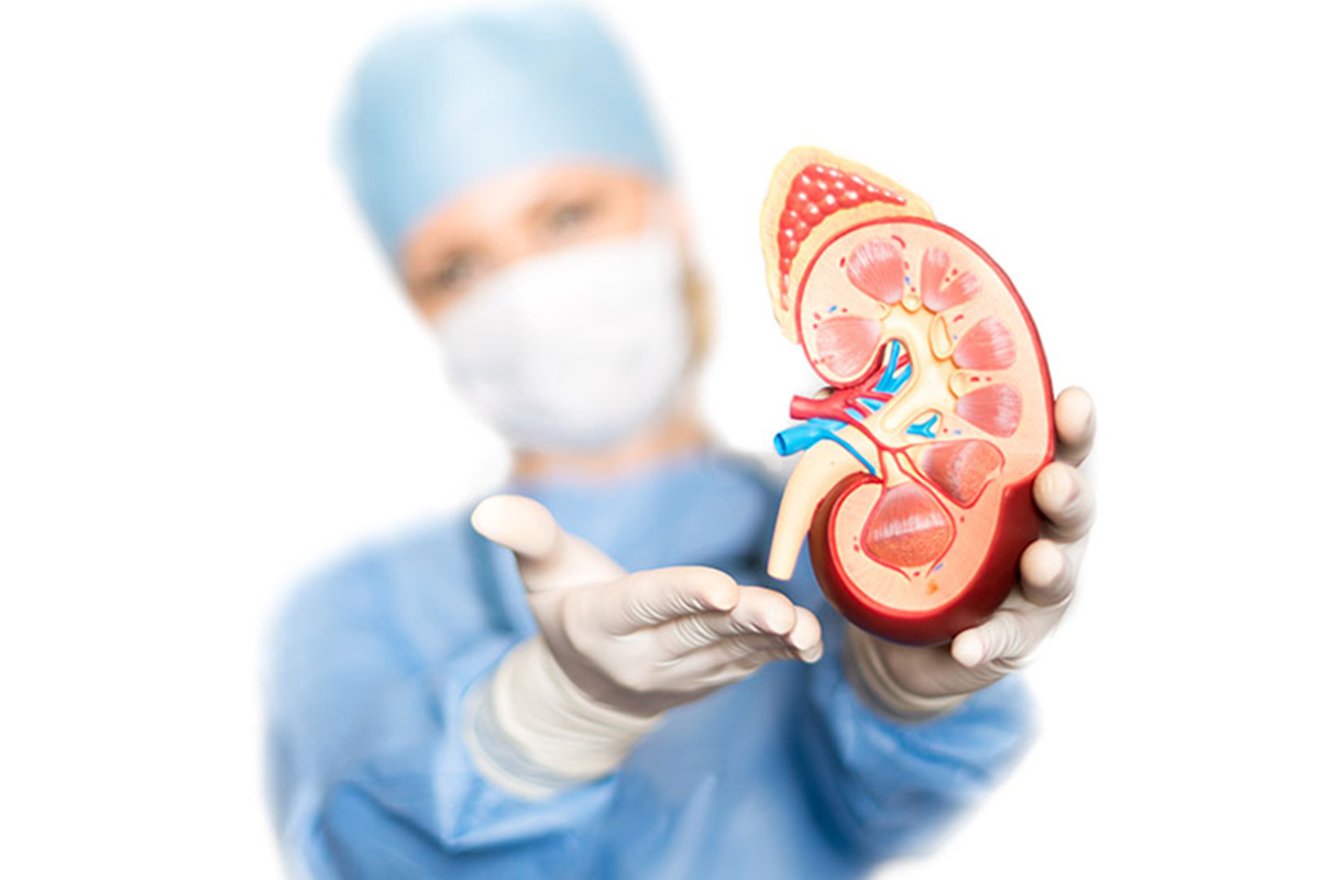 kidney-transplant-saifee-hospital